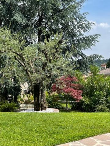 Ferienwohnung La Casa In Collina Caprino Veronese Exterior foto