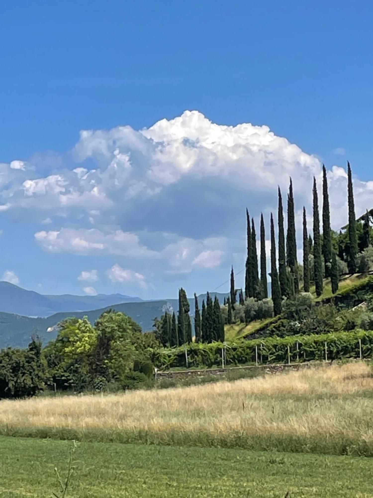Ferienwohnung La Casa In Collina Caprino Veronese Exterior foto